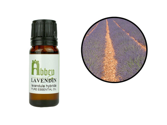 Lavandin Essential Oil